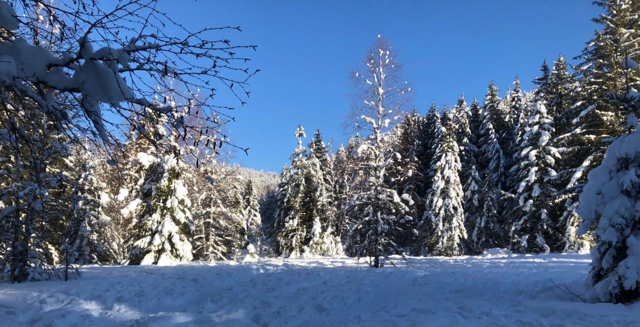 Le Batelier Du Lac Gérardmer Zewnętrze zdjęcie